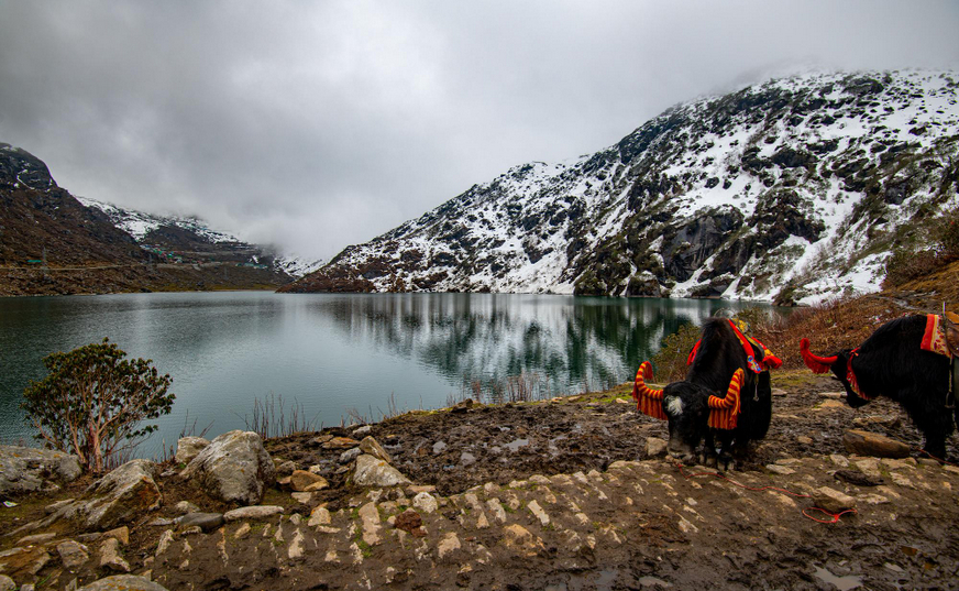 Himalayan Bliss The Best of Sikkim