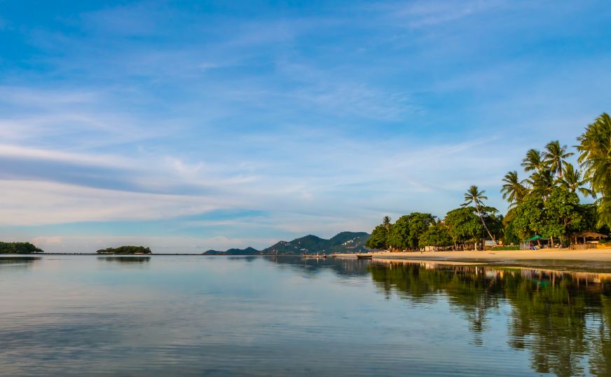 Kerala Serenity