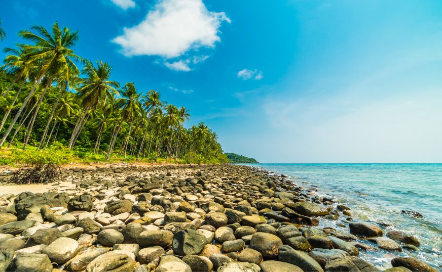 Kerala Serenity